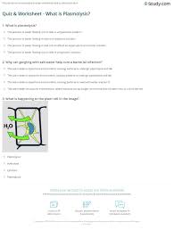 Quiz Worksheet What Is Plasmolysis Study Com