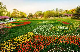Maybe you would like to learn more about one of these? Spring Turns Beijing Into City Of Flowers 2 Chinadaily Com Cn