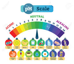 Ph Acid Scale Measurement Vector Illustration Diagram With Acidic