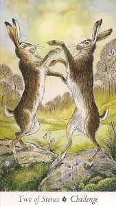 Wildwood Tarot Two Of Stones If You Love Tarot Visit Me At Www Whiterabbittarot Com Wildwood Tarot Tarot Cards Art Tarot Card Decks