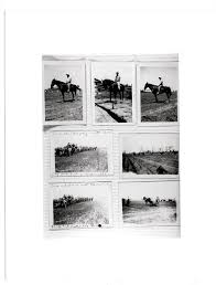 Southern Agriculture Oral History Project Records