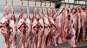 We did not find results for: How To Start A Meat Processing Business