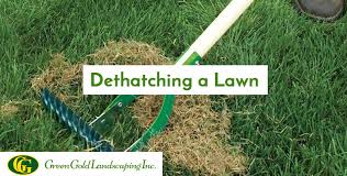 But should you remove it in the spring? When To Dethatch Your Lawn Archives Green Gold Landscaping Inc
