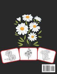 40+ daisy coloring pages for printing and coloring. Daisy Coloring Book Color And Learn With Fun Daisy Pictures Coloring And Learning Book With Fun For Kids 60 Pages At Least 30 Daisy Flower Images House Rose Press 9798565142235 Amazon Com Books