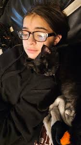 How to find a lost cat in Edmonton?