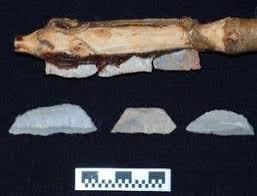 What is the definition of a flint knife? Earliest Fired Knives Improved Stone Age Tool Kit New Scientist