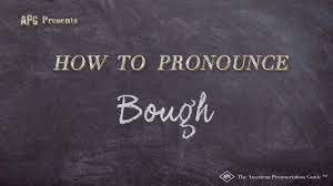 How to pronounce, definition by wiktionary dictionary. How To Pronounce Bough Bough Pronunciation Youtube