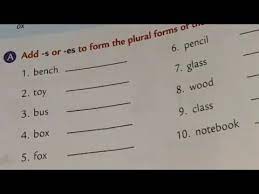 Singular nouns and plural noun, learn singular countable nouns and the different spellings for plural nouns when the last letters of singular nouns are ch, sh, s or x , you usually add es to form the plural. Singular And Plural Nouns English Grammar Book Work Lesson 4 Class 2 Cbse Youtube