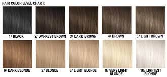 Levels Of Hair Colour Google Search Levels Of Hair Color Hair Color Manic Panic Hair