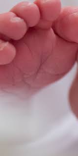 Ab wann brauchst du einen buggy und ab wann darf dein schatz in einem buggy sitzen? Nach 21 Wochen Geboren Rekord Fruhchen Kann Schon Mama Sagen The Weather Channel Artikel Von The Weather Channel Weather Com
