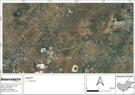 Image result for Chascanum adenostachyum