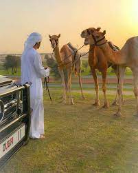 ﺳﻤﻮ ﺍﻟﺸﻴﺦ ﺣﻤﺪﺍﻥ ﺑﻦ ﻣﺤﻤﺪ ﺑﻦ ﺭﺍﺷﺪ ﺁﻝ ﻣﻜﺘﻮﻡ ولي عهد دبي ربي يحفظه مع هجن سموه الفائزة برموز سن اللقايا اليوم في مهرﺟﺎﻥ المرموم التراثي للهجن في ﻣﻴﺪﺍﻥ ﺍﻟﻤﺮﻣﻮﻡ faz3