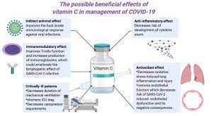239 4th avenue suite 1401 #341 pittsburgh pa 15222. Overview Of The Possible Role Of Vitamin C In Management Of Covid 19 Springerlink