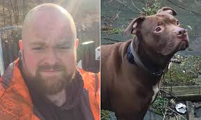 Bit.ly/2cecjy0 meet kobe, son to giant pitbull, hulk, who is going to be the next the hulk life: Man 35 Is Mauled To Death By His Own Pitbull Dog While He Was Suffering A Medical Episode Daily Mail Online