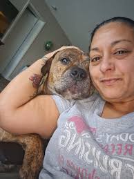 Get Well Wishes for Crusoe the Celebrity Dachshund