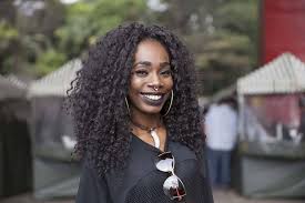 Best Hair For Crochet Braids Here S How To Score Them