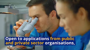 RDD Funding Call 2022