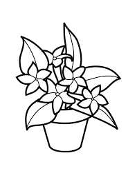 Do you lack a green thumb but desire a beautiful backyard with plants? Flower Pot Coloring Pages Best Coloring Pages For Kids