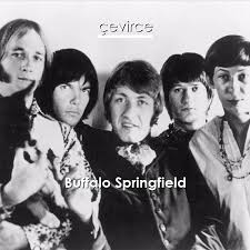 7 on the billboard hot 100 chart in the spring of 1967. Buffalo Springfield For What It S Worth Lyrics Translate Institution Cevirce