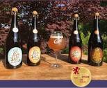 Bières artisanales - bières locales de la Nouvelle Aquitaine