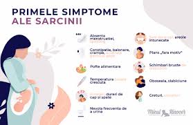 Avortul la etapa incipientă a sarcinii este considerat cel mai inofensiv. Simptome Precoce De Sarcina Idei Si Sfaturi Miculrinocer Ro