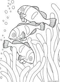 Animal coloring pages pdf seashells sea life free. Kids Coloring Pages Sea Animals Download Template Power Point 2020