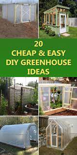 Über 80% neue produkte zum festpreis; 20 Cheap Easy Diy Greenhouse Ideas Diy Greenhouse Backyard Greenhouse Diy Small Greenhouse