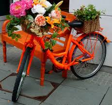 You probably think you already know how to grow a zucchini but if you live in north america. Free Images Plant Wheel Bike Decoration Vehicle Flora Flowers Floristry Floral Design Decorated Bicycle Flower Arranging 2460x2328 570524 Free Stock Photos Pxhere