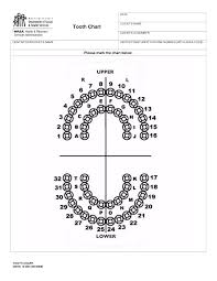 71 correct dental tooth numbering