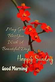35 good morning images with positive words; Happy Blessed Sunday Good Morning Good Morning Nature Facebook