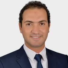 محمود محمدين الديب