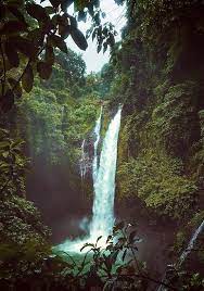 Jungle Waterfall Poster By Skullsneeze In 2021 Beautiful Landscapes Nature Photography Landscape Photography