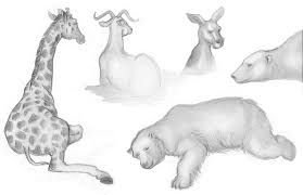 Things to draw when bored. Images Of Fun Easy Things To Draw When Your Bored