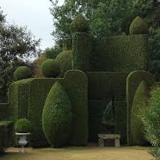 Hedge Fun Chateaudelaballue Bretagne Garden Myview Gardensculpture Hedges Overthetop Instadaily Garden Hedges Topiary Garden Garden Design
