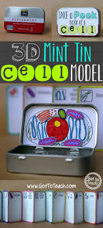 3d Mint Tin Cell Model Hucre Modeli Bitki Hucre Modeli Egitim Faaliyetleri
