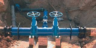 Image result for Hypericophyllum elatum