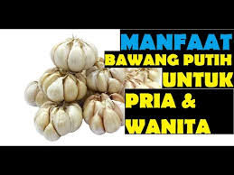 Dalam artikel ini, saya senaraikan 6. Khasiat Bawang Putih Bakar Dan Madu Untuk Lelaki Bawang Putih Obat Penyakit Ejakulasi Dini Ini Cara Makannya Tobasatu Com Khasiat Utama Bawang Putih Bakar Sayaiday Malaysian Blogger Kamsyiu