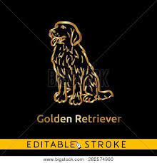Choose from over a million free vectors clipart graphics vector art images design templates and illustrations created by artists worldwide. Golden Retriever Vector Photo Free Trial Bigstock