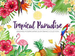 Watercolor Bird Of Paradise Png Tropical Watercolor Flowers Graphics Set Etsy Watercolor Flowers Tropical Watercolor