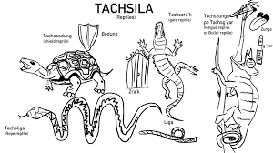 Search for flexible woman in these categories. Tachsila Reptiles Bad Quality But I Had Those In Mind 6 Years Ago Conlangs
