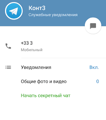 как посмотреть кто заходил на мою страницу в инстаграм Gosti V Telegram Ili Kak Uznat Kto Zahodil Na Moyu Stranicu