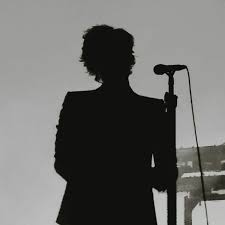Black And White Harry Styles Silhouette Harry Styles Concert Silhouette Harry Styles Concert Harry Styles One Direction Harry Styles