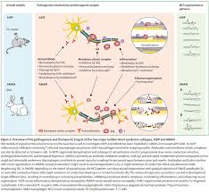 Most patients present with an antecedent illness, most commonly upper respiratory tract infection, before the onset of progressive motor weakness. The Lancet On Twitter Guillain Barre Syndrome Is The Most Common Cause Of Acute Flaccid Paralysis This Seminar Reports Advances In Understanding The Syndrome Including Zika Virus Associated Guillain Barre Syndrome Global Burden New