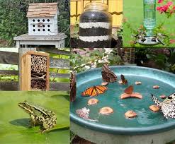 Helpful to anyone who has any interest in attracting wildlife to their property. 10 Cool Ways To Attract Endless Wildlife To Your Backyard