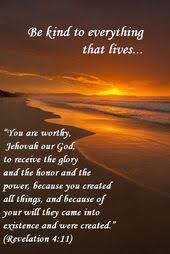 Pin On Rejoice In The Hope