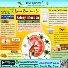 Top 7 Home Remedies For Kidney Infection Increasevitamin Increasefluid Yugurt Applecidervinegar Remedies For Kidney Infection Kidney Infection Remedies