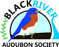 Wingtips Mailing Preparation — Black River Audubon Society
