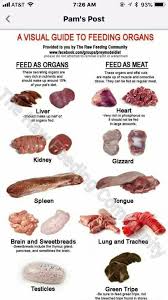 Pin By Tibet Mastifi Dunyasi On Beslenme Raw Dog Food Recipes Dog Raw Diet Raw Dog Food Diet