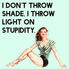 Lenny and cathy look to see who is going to throw shade next. Pin By Elizabeth Cooper On Life Quotes Throwing Shade Quotes Shade Quotes Memes Sarcastic