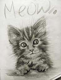 Kitten Drawing Pencil Cute Skethcbook Sketches Art Pencil Drawing Of A Kitten Pencil Drawings Kitten Drawing Kitten Art